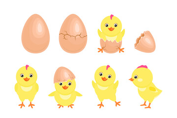 Cartoon chicken hatched from egg. Cracked chicken eggs with cute newborn baby chick isolated. Funny little yellow bird in different poses. Vector simple flat illustrations.