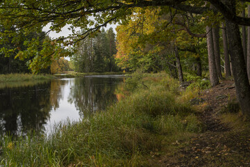 River landscape in autumn. Farnebofjarden national park in north of Sweden.