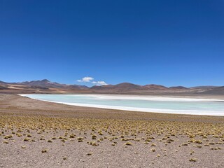 sand dunes and beach
