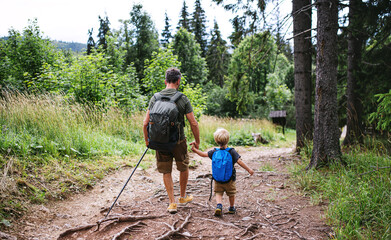 Rear view of father with small son hiking outdoors in summer nature, walking.