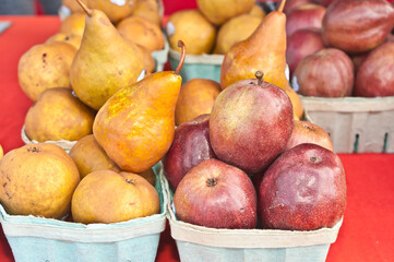 Top, front view, close distance of green, cardboard containers filled with freshly picked, local, ripe pears and pomegranates, on display and for sale at tropical, farmers market