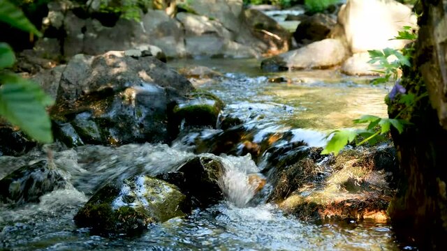 Mountain Stream
