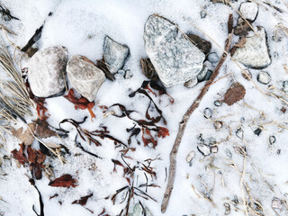 Closeup of dry plants and stones on snowy background