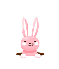 Easter bunny hide in the hole vector illustration. Happy funny pink rabbit, eggs hunt