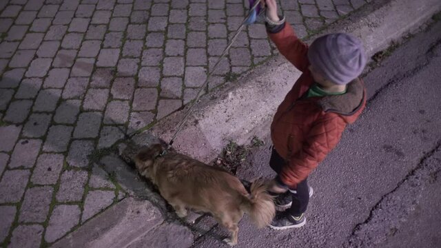 Caucasian boy takes a dog for a walk on a leash, top view , night shot