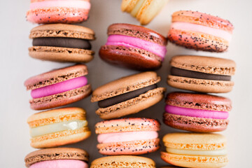 Assorted Flavored Macarons