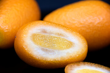 Kumquat 6