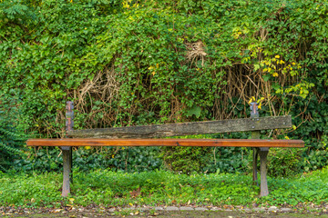 A damaged bench in the forest