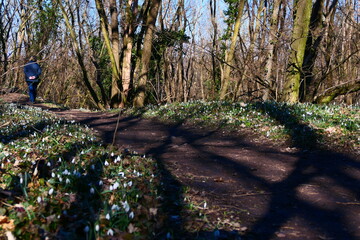 Wandern im Naturpark Mannersdorf-Wüste