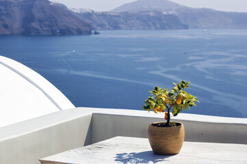 Fototapeta na wymiar Santorini, Greece: A pot with flower or plant and a plate on a wooden table against beautiful sea ocean background