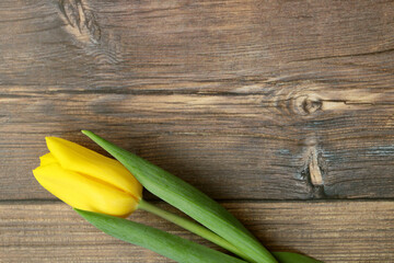 Yellow tulips on the background with a place for text and greetings on March 8, Valentine's Day, romance, love