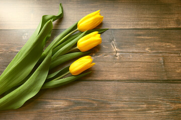 Yellow tulips on the background with a place for text and greetings on March 8, Valentine's Day, romance, love
