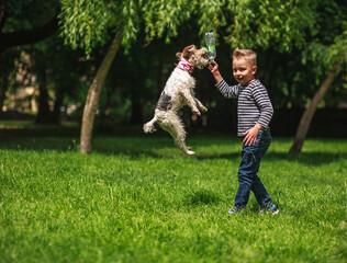 Boy playing with the dog throws bottle in summer green park on grass