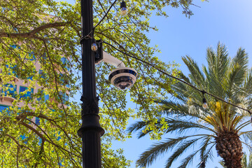Fototapeta premium Downtown St Pete. north straub park 