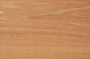 Fototapeta premium Wooden textured background