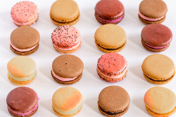 Assorted Macarons