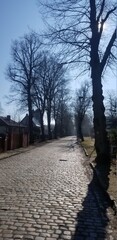 alley in the park