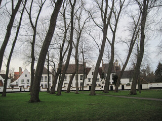 Evening city view of the Belgian medieval old town. Scenic landscape with beautiful ancient brick building on a cold spring day. 