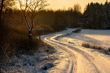 Obraz premium Snow-coverd, frozen fields and meadows, eastern Poland, beautiful sunrise, Podlasie