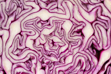 Red Cabbage textured background. Red cabbage pattern close-up. Macro photo