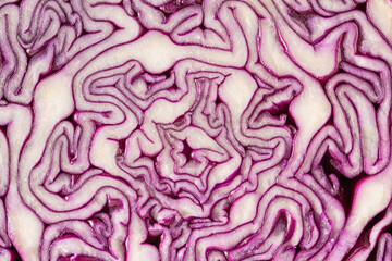Obraz premium Red Cabbage textured background. Red cabbage pattern close-up. Macro photo