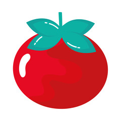 tomato fresh vegetable healthy food