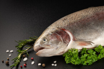 Fresh raw salmon red fish with spices, pepper, rosemary on dark background. Creative layout made of fish. Space for text
