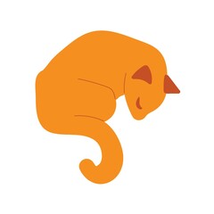 Cat sleeps. Vector illustration character with cat sleeping. Orange cat isolated on white backgroung. Flat style. Hand draw animal, cartoon character