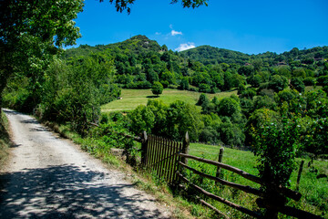 Un camino en las montañas cubiertas de bosques y prados con vallas de madera en la región española de Asturias