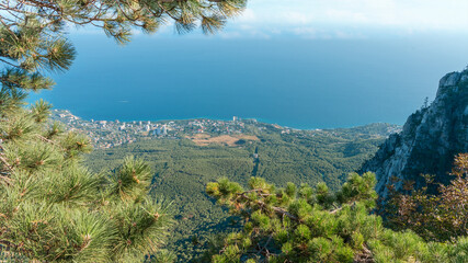 top view through the crowns of mountain pines on the resort town against the background of the blue sea and sky