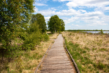 Fototapeta premium Ewige Meer bei Eversmeer - Nordseeküste - 1
