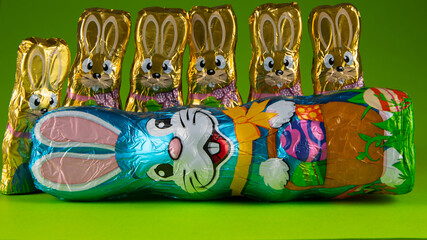 Rabbit with chocolate bunnies. Green background.
