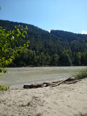 Treibholz am sandigen Flussufer mit bewaldeter H&uuml;gellandschaft