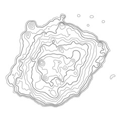 Topographic map background. Grid map. Pattern of contour lines. Abstract vector illustration.