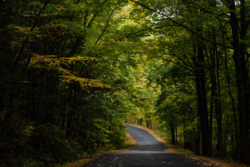 Obraz premium A country road winds its way through the forest.