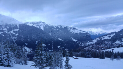 snow covered mountains