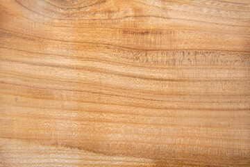 Natural wood texture with stripes. An extremely high-resolution photo.