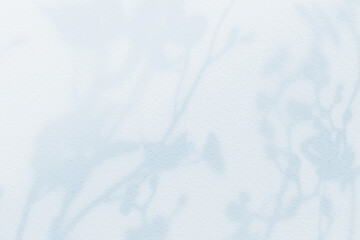 Abstract flower shadows on light white blue bright color wall texture background.