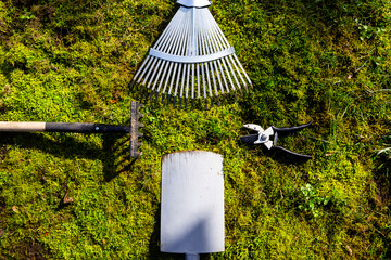 gardening tools, spade, pruner and rakes laid on uncultivated, overgrown with moss after the winter...