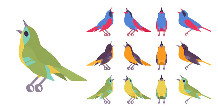 Songbird set, various singing little musical birds in beautiful colors. Wildlife study, ornithology, birdwatching. Vector flat style cartoon illustration isolated on white background, different views