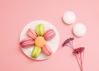 French almond biscuits  Cute flat lay photo for posters and banners Multicolored macaroons on white small plate, two white almond cookies and dry flowers on pink background