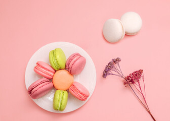 Macarons Cute top view photo for posters and banners Multicolored french biscuits on white plate, two white almond cookies and dry flowers on pink background
