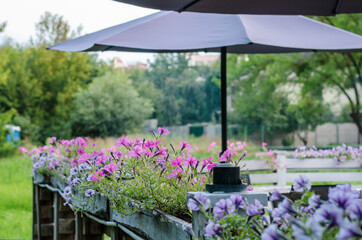 Outdoor cafe interior with wooden furniture, rotan chairs and purple flowers for decoration. Selective focus.