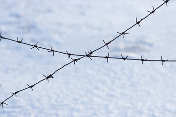 Old barbed wire on a background of snow. Barbed wire closeup. Shallow depth of field. Siberia, Russia.