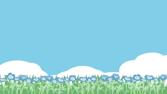 ネモフィラ　青空