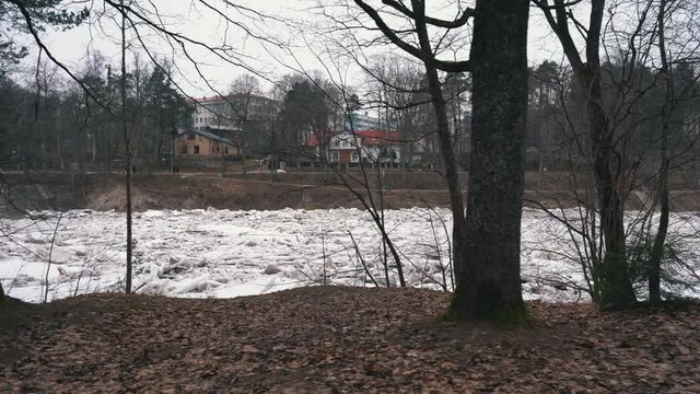 Huge Ice Loads Drift in the River Ogre, Latvia. Stedicam Shot in Snowy Mart Day. Congestion on the River in the Spring. A Large Cluster of Moving Ice Blocks