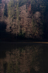 Reflections of trees in a lake in Croatia