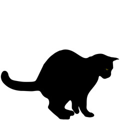 A black cat is a silhouette. Black-and-white illustration, contrast.