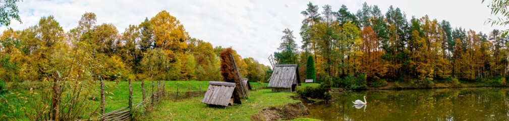 Fototapeta premium panorama of the lake with a swan in the autumn evening