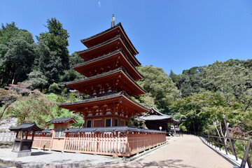 長谷寺　五重塔　奈良県桜井市